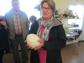 Mariitta sai arvailla strutsinmunan painoa, muna painaa 1.750g
siihen mahtuu 25 tavallista kanamunaa