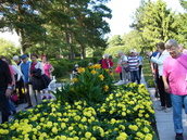 Naantali Kultarannan kukkaloistoa 2.8.2017